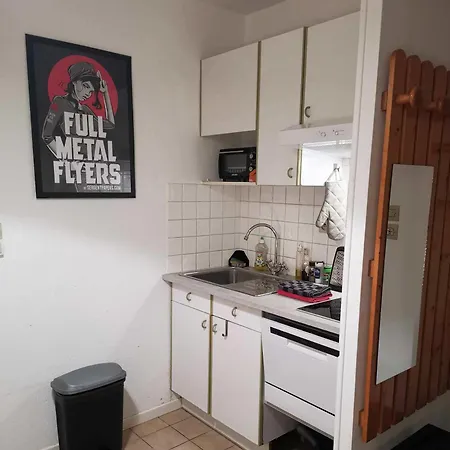 T2 Lumineux Avec Jardinet - Les Thermes *