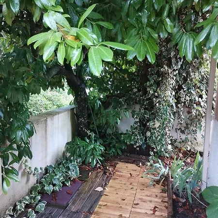 T2 Lumineux Avec Jardinet - Les Thermes *