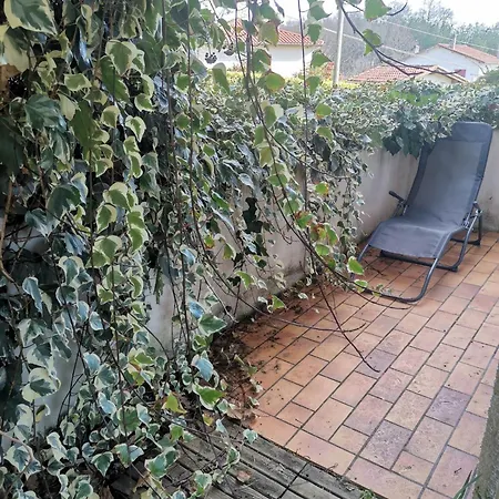 T2 Lumineux Avec Jardinet - Les Thermes 公寓 巴布通莱班